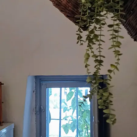 Trullo Nonno Marco 2.0 *