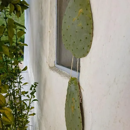 Trullo Nonno Marco 2.0 Hébergement de vacances