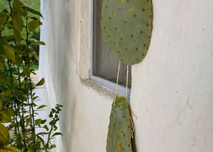 Trullo Nonno Marco 2.0 בית נופש